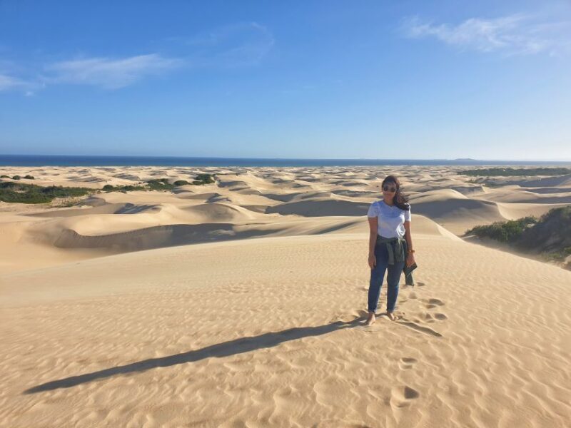 Port Elizabeth: 2-Day Addo Elephant Park Safari - The Value of This Tour  
