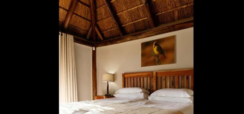 Port Elizabeth: 3-Day Addo Elephant National Park Safari - Key Points