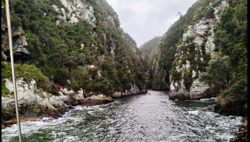 Port Elizabeth: 3-Day Garden Route via Addo Elephant Park - An In-Depth Look at the Tour Itinerary