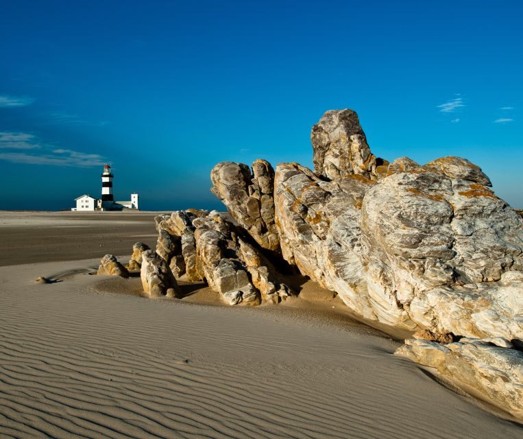Port Elizabeth: City Tour and Wildlife Safari 4x4 Adventure - All About the Itinerary: What You Can Expect