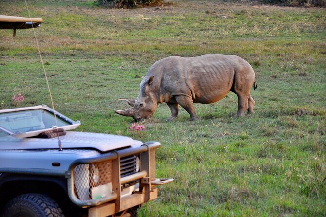 Port Elizabeth Safari and City Tour from Gqeberha - Exploring Port Elizabeth on a Guided Tour
