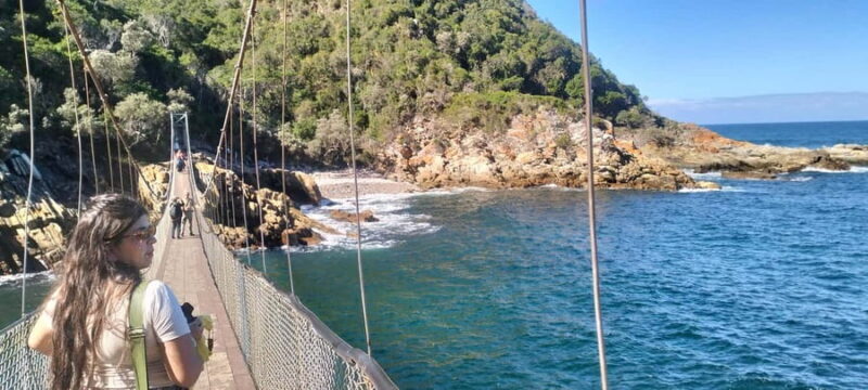 Port Elizabeth: Tsitsikama National Park full-day - Key Points