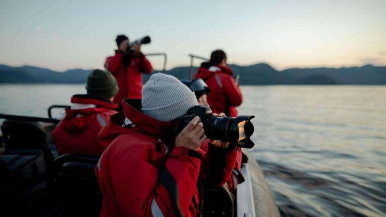 port-hardy-sea-otter-and-whale-watching
