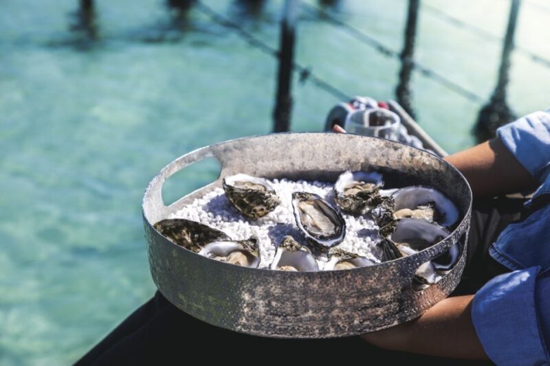 Port Lincoln: Coffin Bay Seafood, Wine, and Nature Day Trip - Frequently Asked Questions (FAQs)