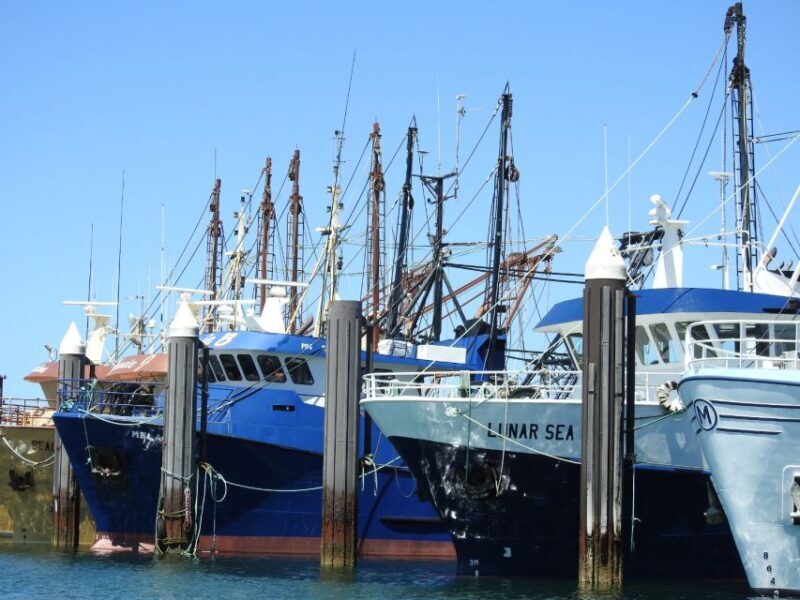Port Lincoln Day Tour: Eyre Peninsula - Key Points