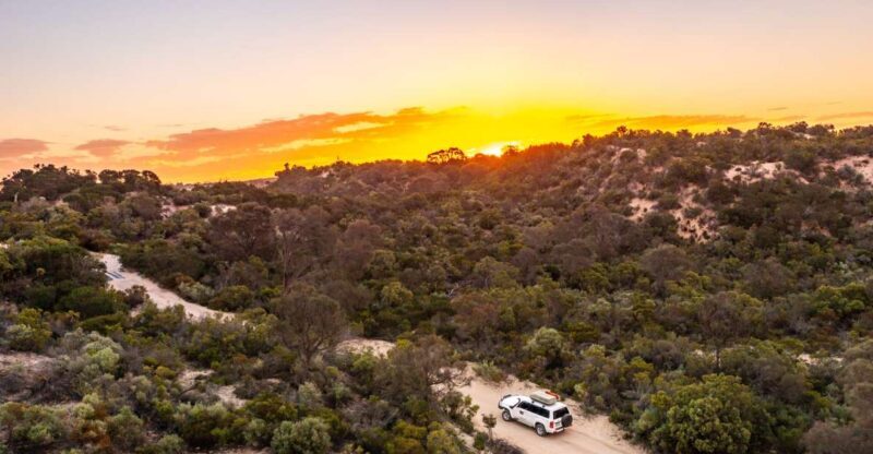 Port Lincoln: Lincoln National Park Sunset Sand Dunes Tour - Wildlife Encounters in the Park