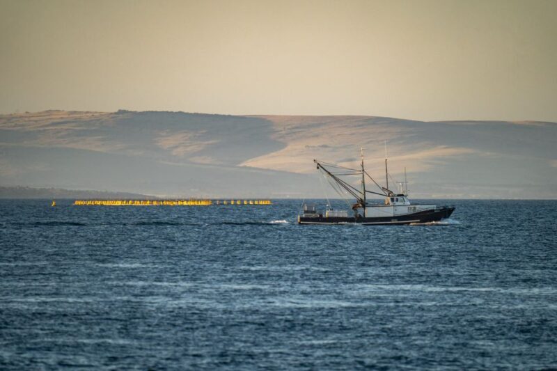 Port Lincoln: Lincoln National Park Sunset Sand Dunes Tour - Final Thoughts