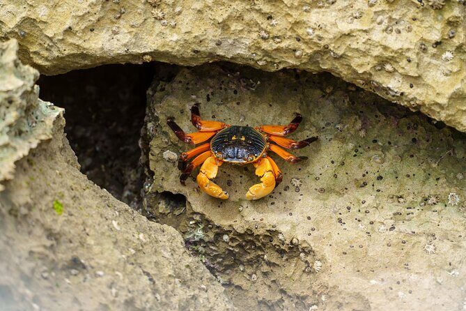 Port Lincoln National Park Half day Tour - Local Industry and Cultural Insights