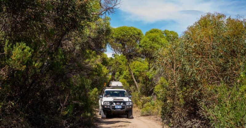 Port Lincoln: Wildlife and Sightseeing Full-Day 4WD Tour - Final Thoughts