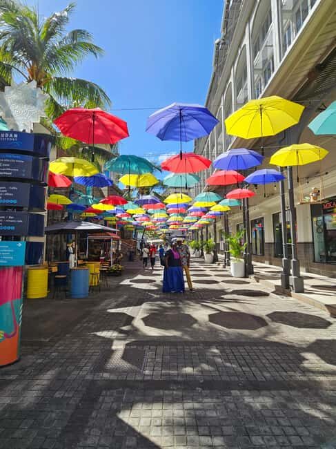 Port Louis: Mont Choisy, Botanical Garden, and Church Tour - Practical Tips for Tour Day