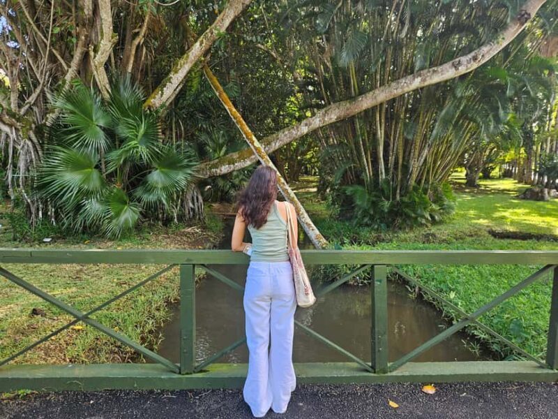Port Louis: Mont Choisy, Botanical Garden, and Church Tour - Final Thoughts