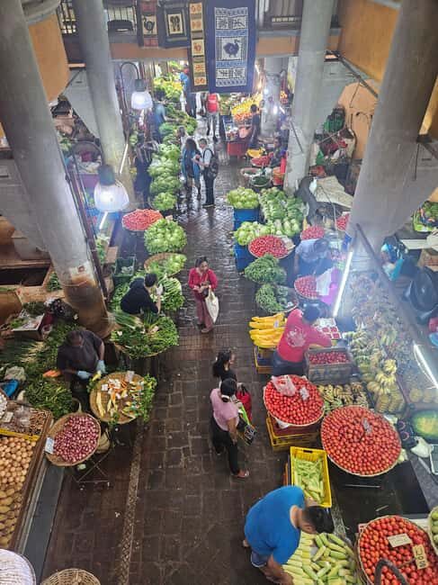Port Louis: Mont Choisy, Botanical Garden, and Church Tour - FAQ