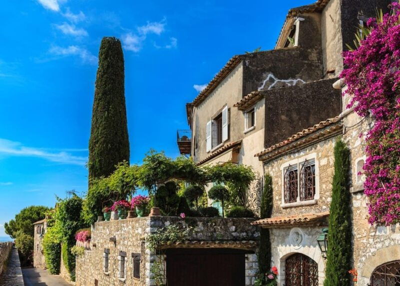 port-of-cannes-personalized-private-tour
