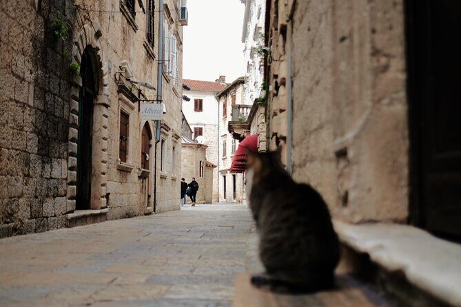 Port of Kotor - Kotor-Perast-Our lady of the rocks private tour - References
