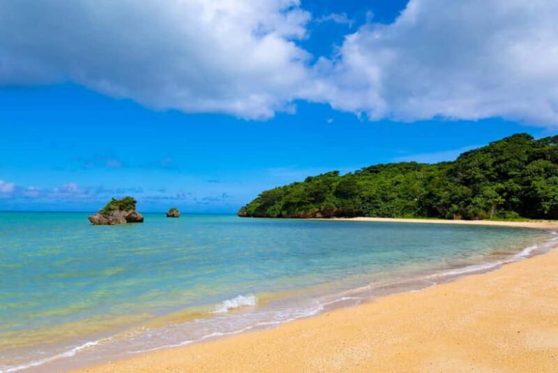 Port Pick-Up: Naha Private Tour Licensed Guide Vehicle - Key Points