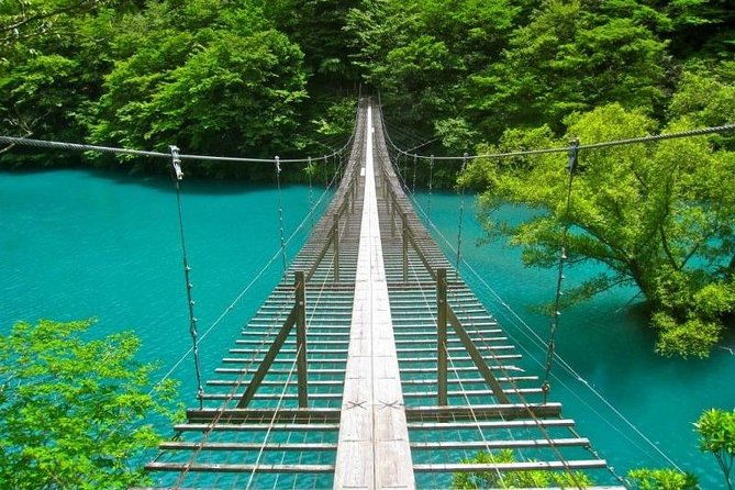 port-pick-up-shizuoka-tour-with-licensed-guide-and-vehicle