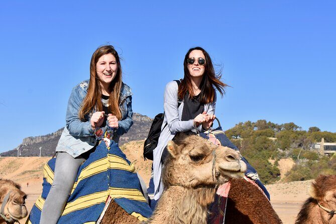 Port Pick Up: Tangier All-inclusive Small Group Tour - Key Points