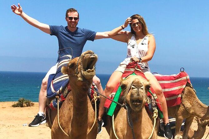 Port Pick Up: Tangier All-inclusive Small Group Tour - A Detailed Breakdown of the Tour Experience
