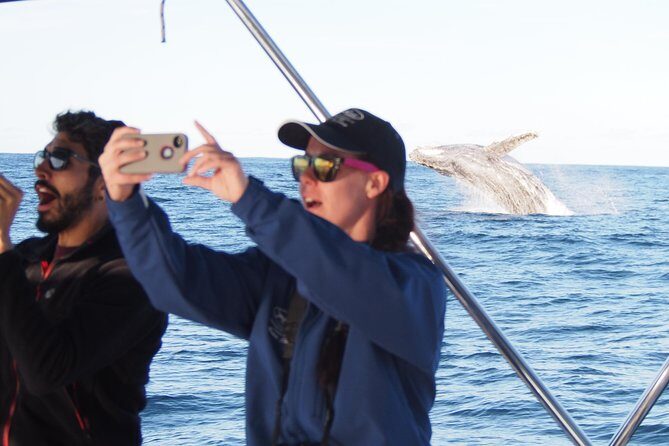 Port Stephens 3 Hour Whale and Dolphin Watch Cruise - Why Choose This Whale and Dolphin Cruise?