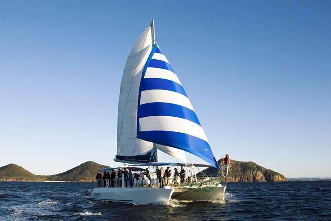 Port Stephens 3 Hour Whale and Dolphin Watch Cruise - Who Will Love This Tour?