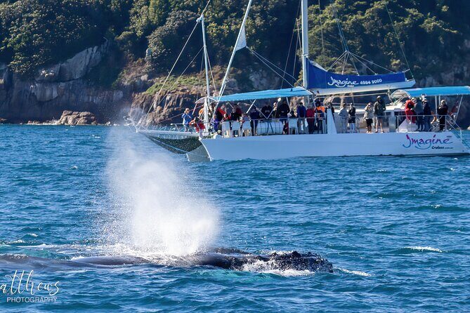 Port Stephens 3 Hour Whale and Dolphin Watch Cruise - FAQ