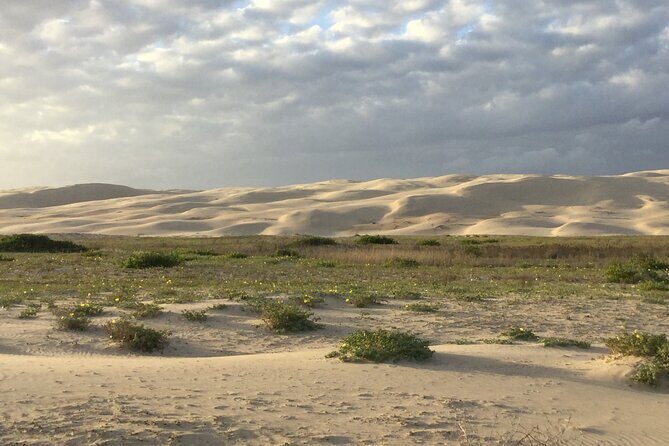 Port Stephens, Beach and Sand Dune 4WD Passenger Tour - FAQs
