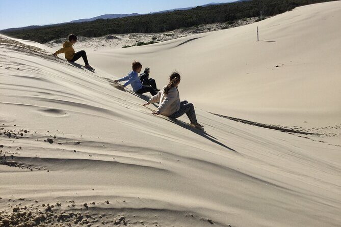 Port Stephens, Beach and Sand Dune 4WD Tag-Along Tour - Exploring the Itinerary in Detail
