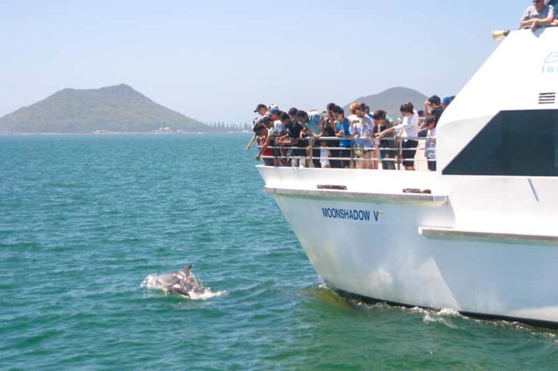Port Stephens: Dolphin Cruise, Lunch, Koalas & Sandboarding - An In-Depth Look at the Port Stephens Tour