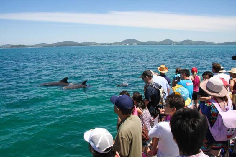Port Stephens: Dolphin Cruise, Lunch, Koalas & Sandboarding - Who Would Enjoy This Tour?