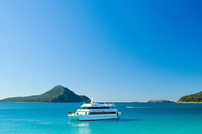 Port Stephens: Dolphin Discovery Cruise - The Itinerary: What to Expect