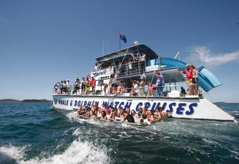 Port Stephens: Dolphin Watch Cruise with Swimming and Slides - The Scenic Coastline and Landmark Views