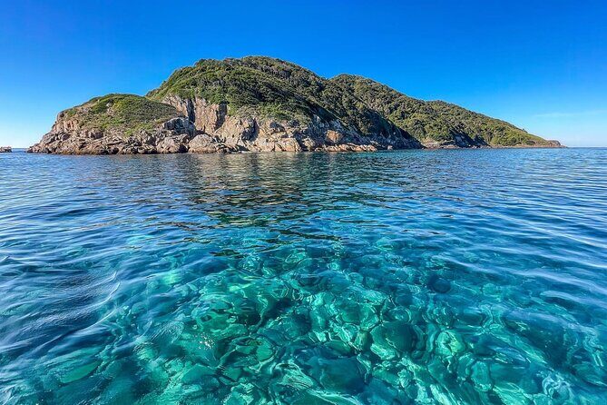 Port Stephens: Dolphin Watch Eco Adventure - An In-Depth Look at the Tour Experience