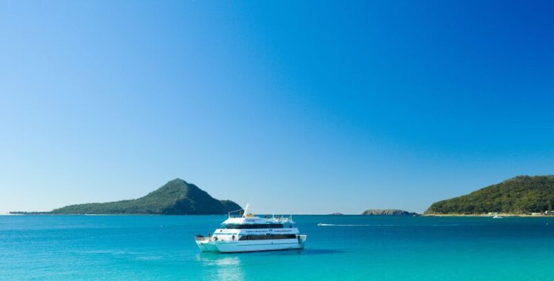 Port Stephens: Dolphin Watching Cruise - Key Points