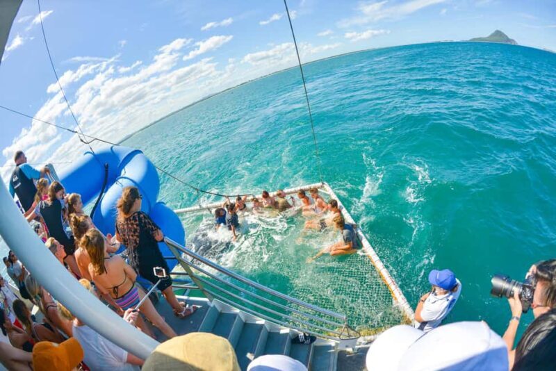 Port Stephens: Dolphin Watching Cruise - Who Would Love This Tour?
