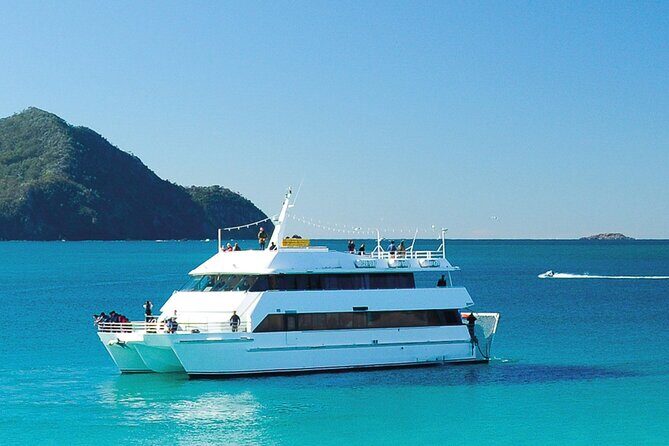 Port Stephens Experience: Incredible Adventure, Wild by Nature - An In-Depth Review of the Port Stephens Tour Experience