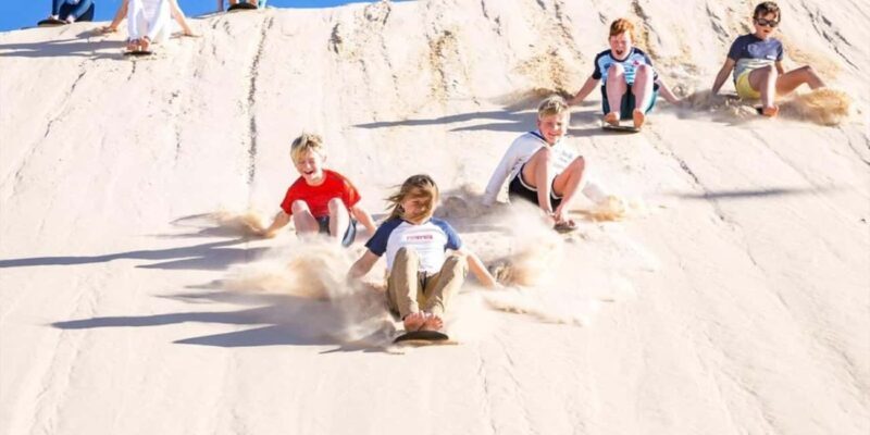 Port Stephens Experience + Sydney Hop-on-Hop-off Bus Ticket - What Travelers Love and What to Consider