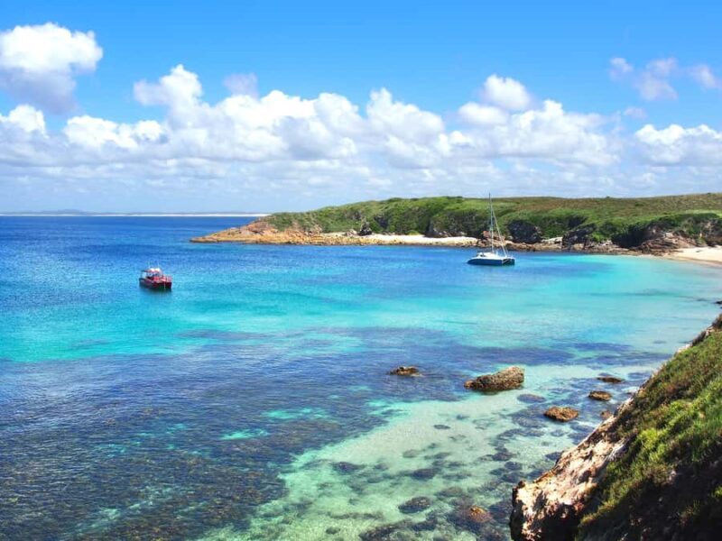 Port Stephens: Port Stephens Island Snorkel Adventure Cruise - Key Points