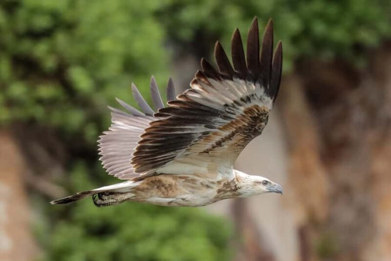 Port Stephens: Port Stephens Island Snorkel Adventure Cruise - Why This Tour Offers Great Value