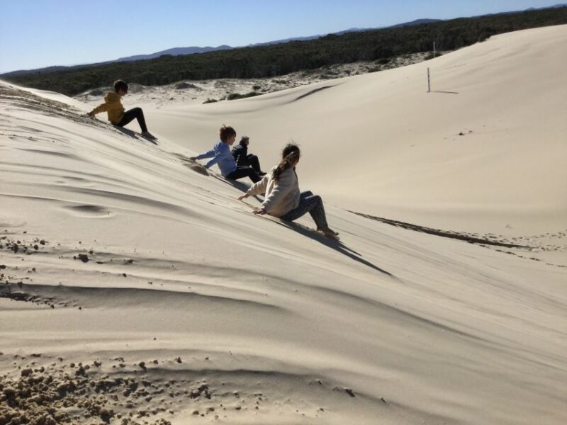 Port Stephens: Stockton Sand Dunes 4WD Tag-Along Tour - The Experience in Detail