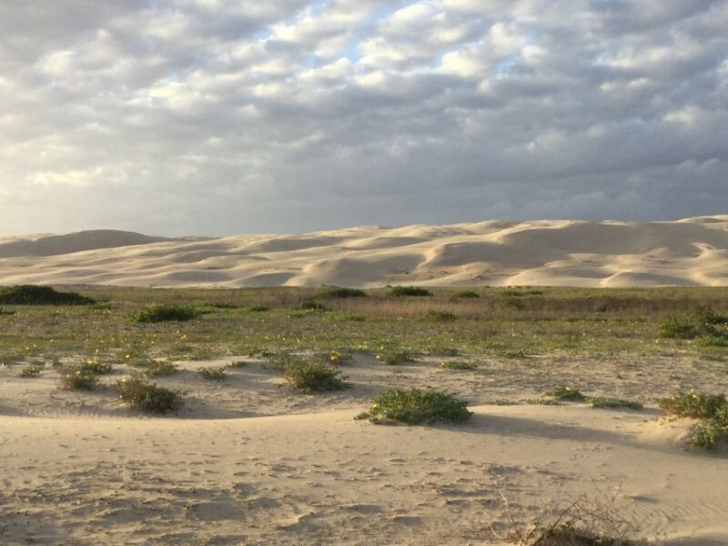 Port Stephens: Stockton Sand Dunes 4WD Tag-Along Tour - Final Thoughts on Value and Experience
