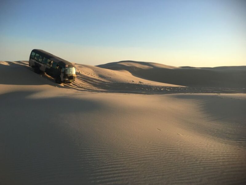 Port Stephens: Unlimited Sandboarding with 4WD Dune Transfer - Key Points