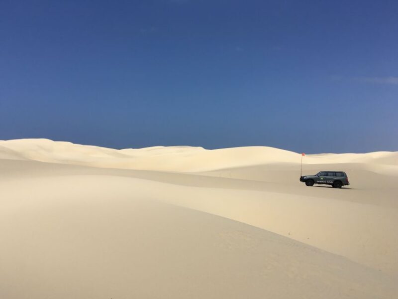 Port Stephens: Unlimited Sandboarding with 4WD Dune Transfer - What’s Included & What’s Not