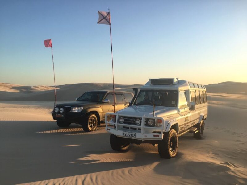 Port Stephens: Unlimited Sandboarding with 4WD Dune Transfer - Authentic Experiences and Practical Tips