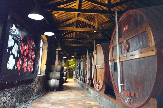 port-wine-lodges-tour-including-7-port-wine-tastings-english
