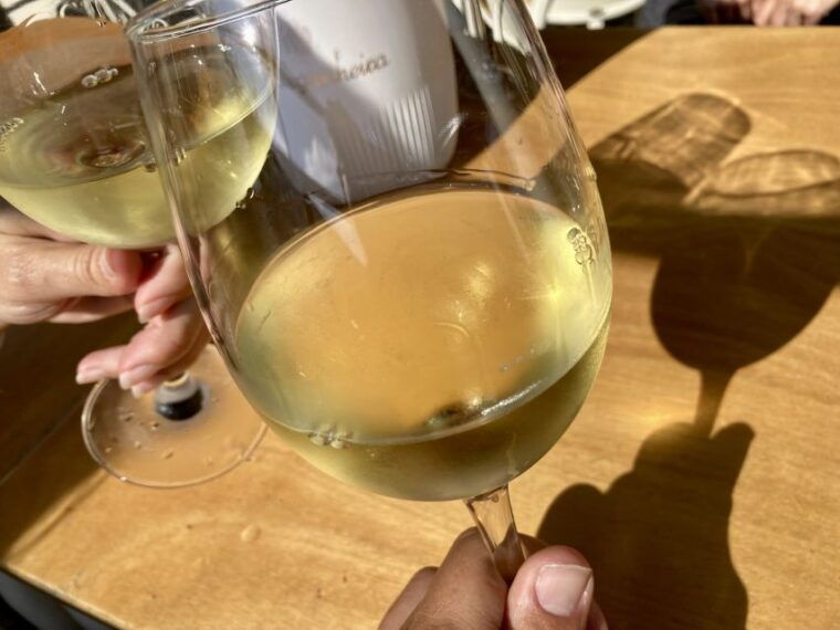 port-wine-wine-walking-tour-with-culture-max-8-pax
