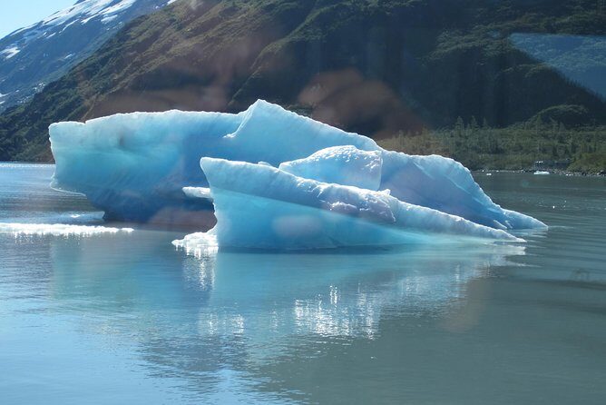 Portage Glacier Cruise and Wildlife Explorer Tour - FAQ