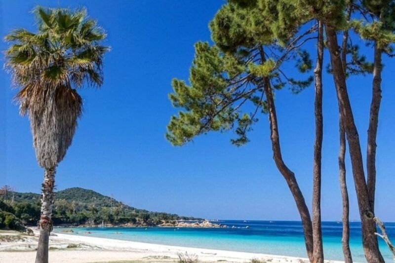 porticcio-coastal-train-ticket-with-audio-guide-tastings