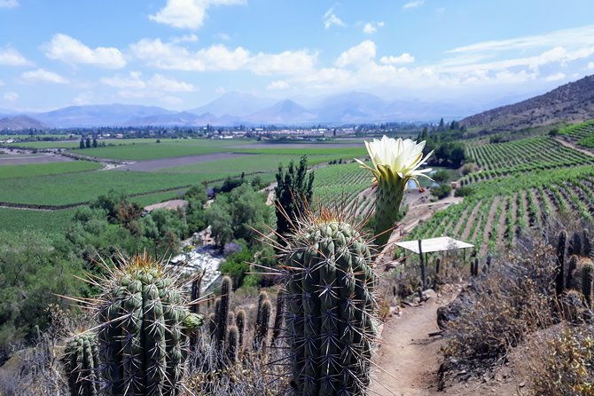 portillo-inca-lagoon-in-los-andes-local-vineyard-tour