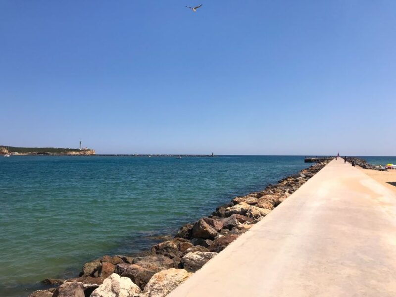 portimao-1-25-hour-segway-tour