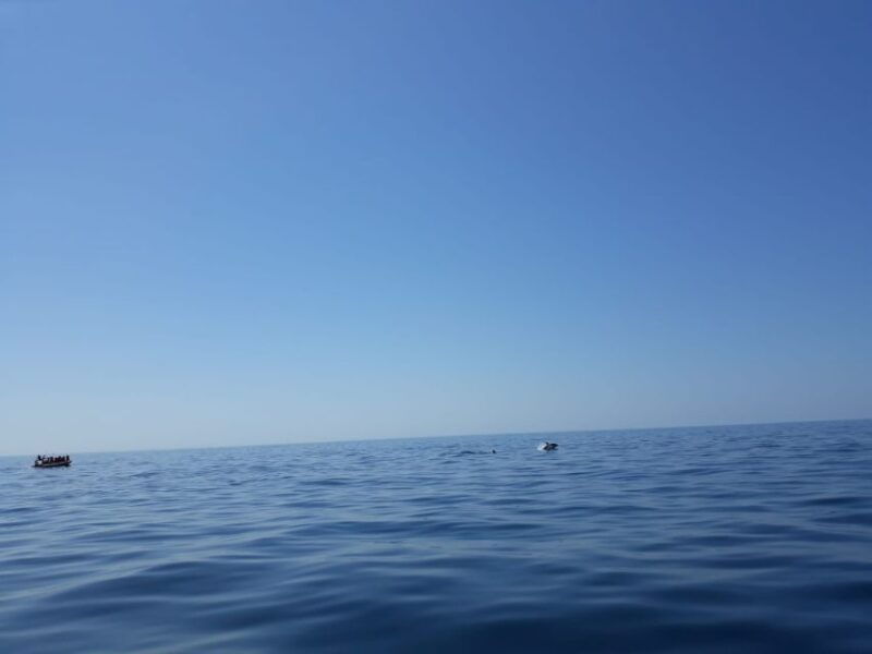 portimao-dophin-watching-on-the-algarve-coast